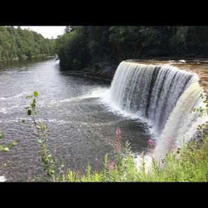 Meet your Posher, Monique